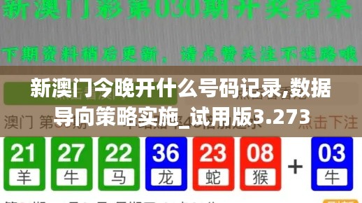 新澳门今晚开什么号码记录,数据导向策略实施_试用版3.273