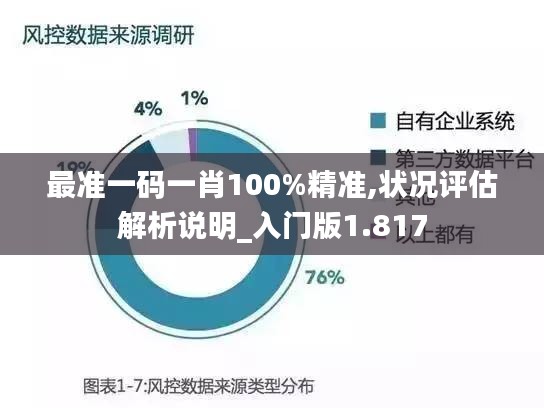 最准一码一肖100%精准,状况评估解析说明_入门版1.817