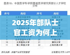 2025年部队士官工资为何上涨,高效解答解释定义_tool8.298