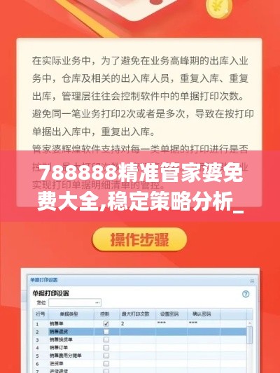 788888精准管家婆免费大全,稳定策略分析_Q6.623