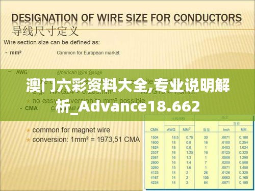 澳门六彩资料大全,专业说明解析_Advance18.662