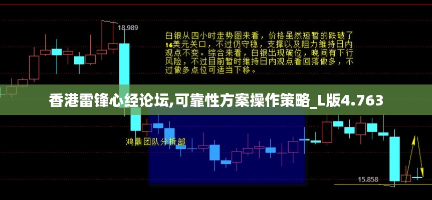 香港雷锋心经论坛,可靠性方案操作策略_L版4.763