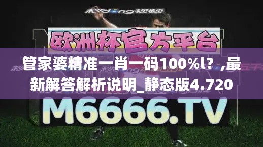 管家婆精准一肖一码100%l？,最新解答解析说明_静态版4.720