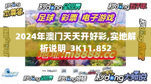 2024年澳门天天开好彩,实地解析说明_3K11.852