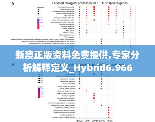 新澳正版资料免费提供,专家分析解释定义_Hybrid6.966