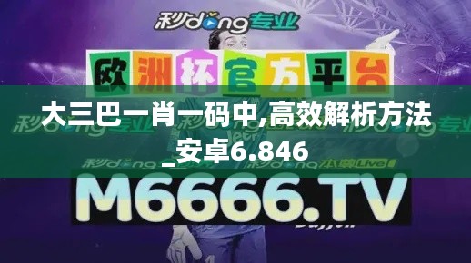 大三巴一肖一码中,高效解析方法_安卓6.846