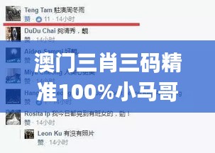 澳门三肖三码精准100%小马哥,深度分析解释定义_VIP8.717