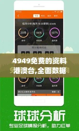 4949免费的资料港澳台,全面数据解释定义_LE版6.113