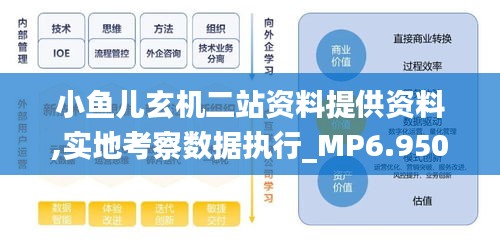 小鱼儿玄机二站资料提供资料,实地考察数据执行_MP6.950