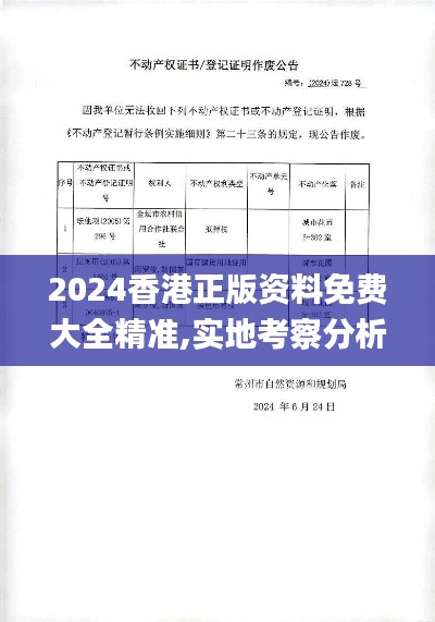 2024香港正版资料免费大全精准,实地考察分析_3K5.728