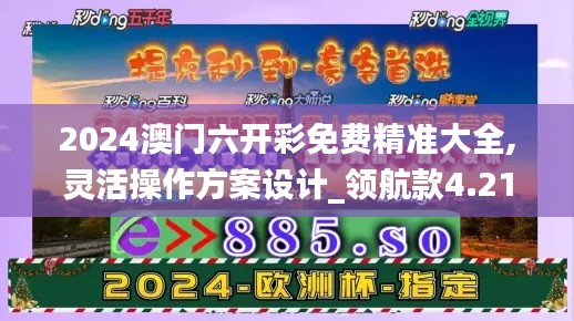 2024澳门六开彩免费精准大全,灵活操作方案设计_领航款4.218