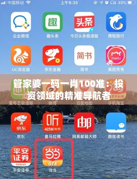 管家婆一码一肖100准：投资领域的精准导航者