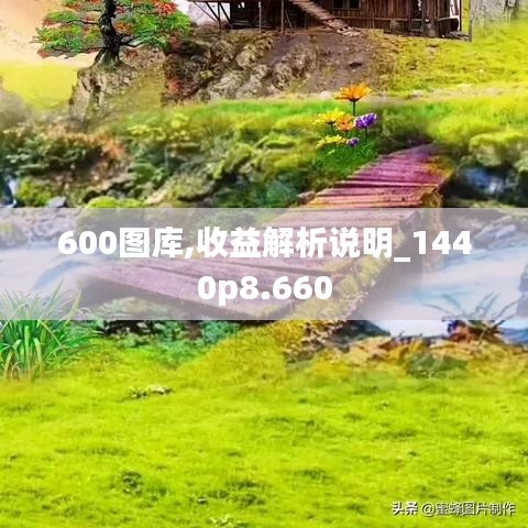 600图库,收益解析说明_1440p8.660