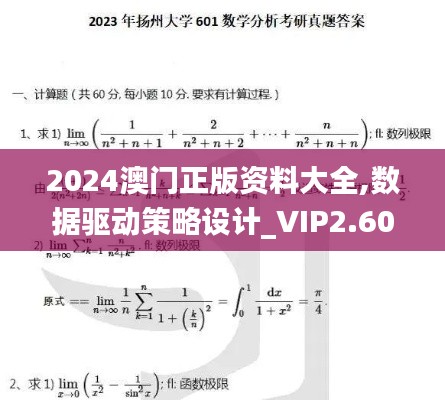 2024澳门正版资料大全,数据驱动策略设计_VIP2.601