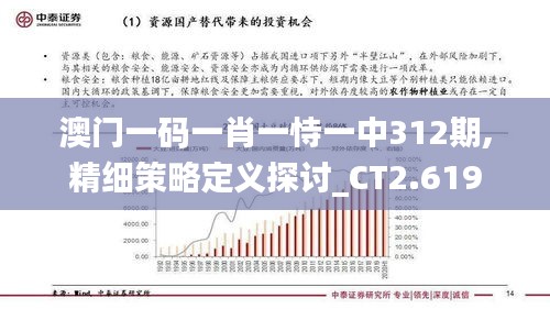 澳门一码一肖一恃一中312期,精细策略定义探讨_CT2.619