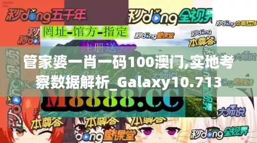 管家婆一肖一码100澳门,实地考察数据解析_Galaxy10.713