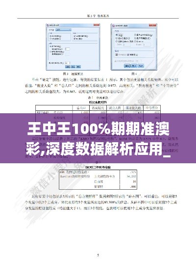 王中王100℅期期准澳彩,深度数据解析应用_特别款10.299