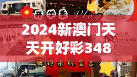 2024新澳门天天开好彩348期：赌桌上的艺术，生活中的激情