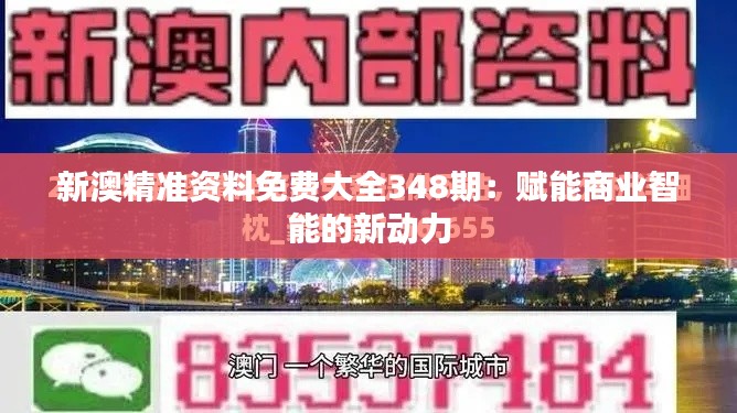 新澳精准资料免费大全348期：赋能商业智能的新动力