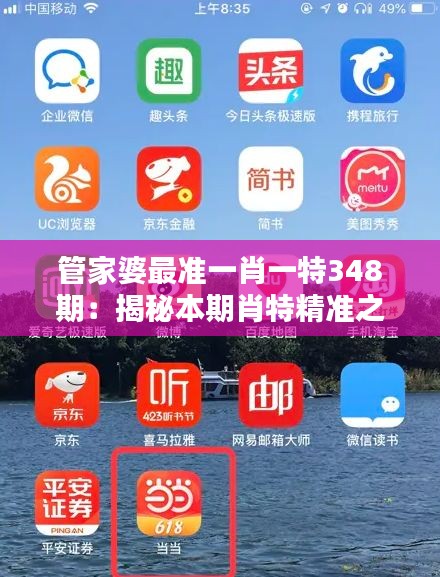 管家婆最准一肖一特348期：揭秘本期肖特精准之谜