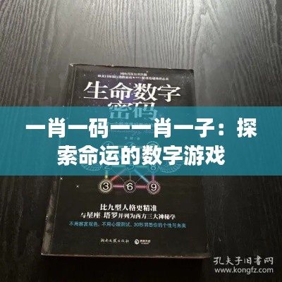 一肖一码一一肖一子：探索命运的数字游戏