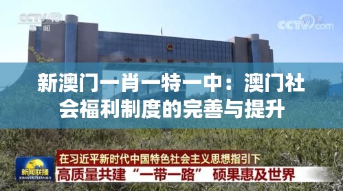 新澳门一肖一特一中：澳门社会福利制度的完善与提升