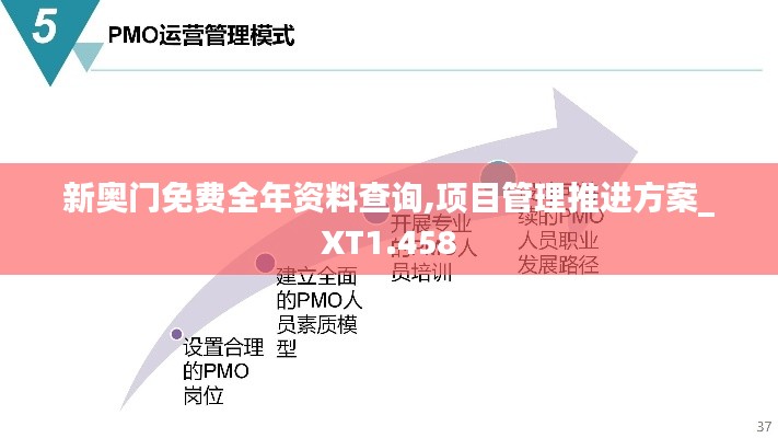 新奥门免费全年资料查询,项目管理推进方案_XT1.458