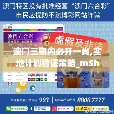 澳门三期内必开一肖,实地计划验证策略_mShop9.249