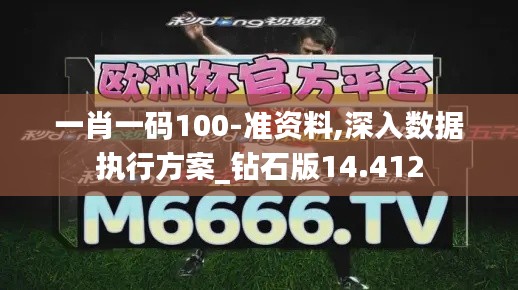 一肖一码100-准资料,深入数据执行方案_钻石版14.412