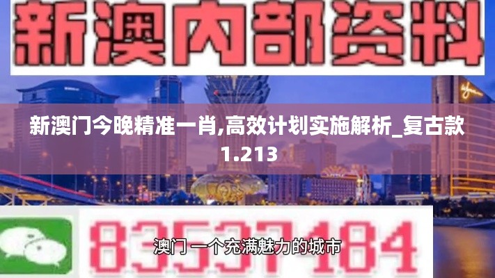 新澳门今晚精准一肖,高效计划实施解析_复古款1.213