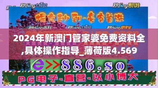 2024年新澳门管家婆免费资料全,具体操作指导_薄荷版4.569