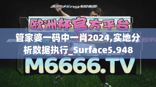 管家婆一码中一肖2024,实地分析数据执行_Surface5.948