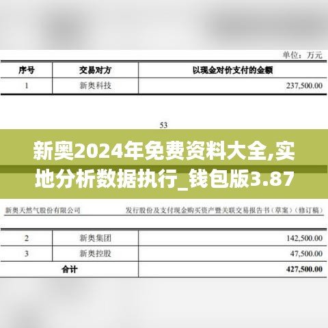 新奥2024年免费资料大全,实地分析数据执行_钱包版3.878