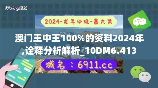 澳门王中王100%的资料2024年,诠释分析解析_10DM6.413