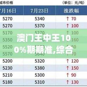 澳门王中王100%期期准,综合解答解释定义_yShop5.478