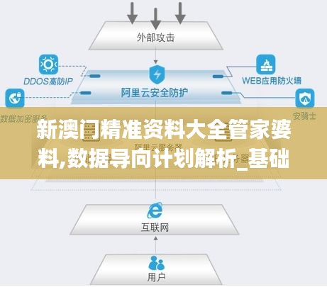 新澳门精准资料大全管家婆料,数据导向计划解析_基础版4.856