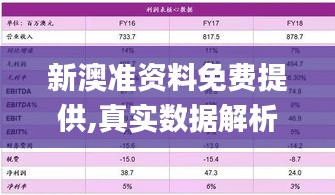 新澳准资料免费提供,真实数据解析_Premium1.382