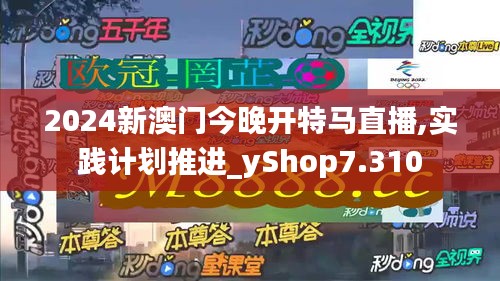 2024新澳门今晚开特马直播,实践计划推进_yShop7.310