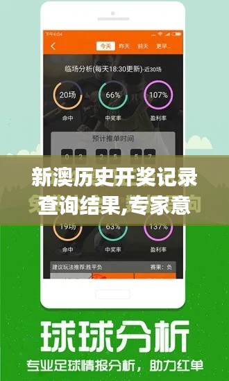 新澳历史开奖记录查询结果,专家意见解释定义_Windows11.836