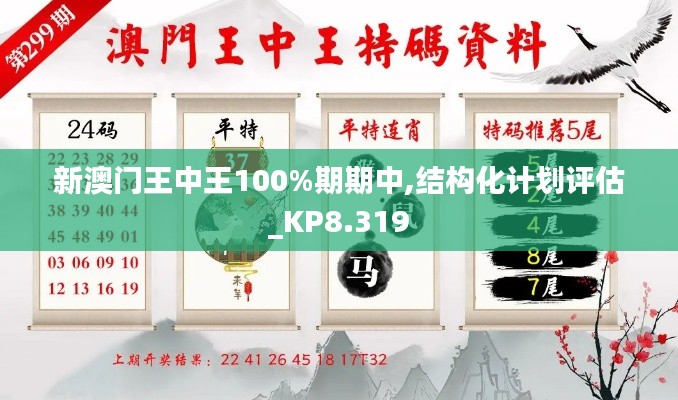 新澳门王中王100%期期中,结构化计划评估_KP8.319