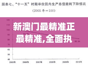 新澳门最精准正最精准,全面执行计划_vShop6.448