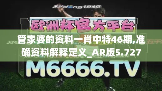 管家婆的资料一肖中特46期,准确资料解释定义_AR版5.727