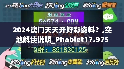 2024澳门天天开好彩资料？,实地解读说明_Phablet17.975